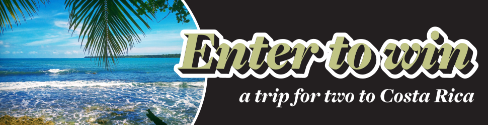 A calm beach with a palm leaf. Enter to win a trip for two to Costa Rica.